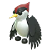 Woodpecker в Adopt Me