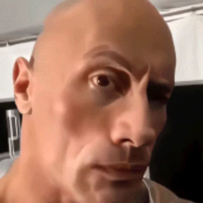 the rock — превью декали Roblox, ID 8382614688
