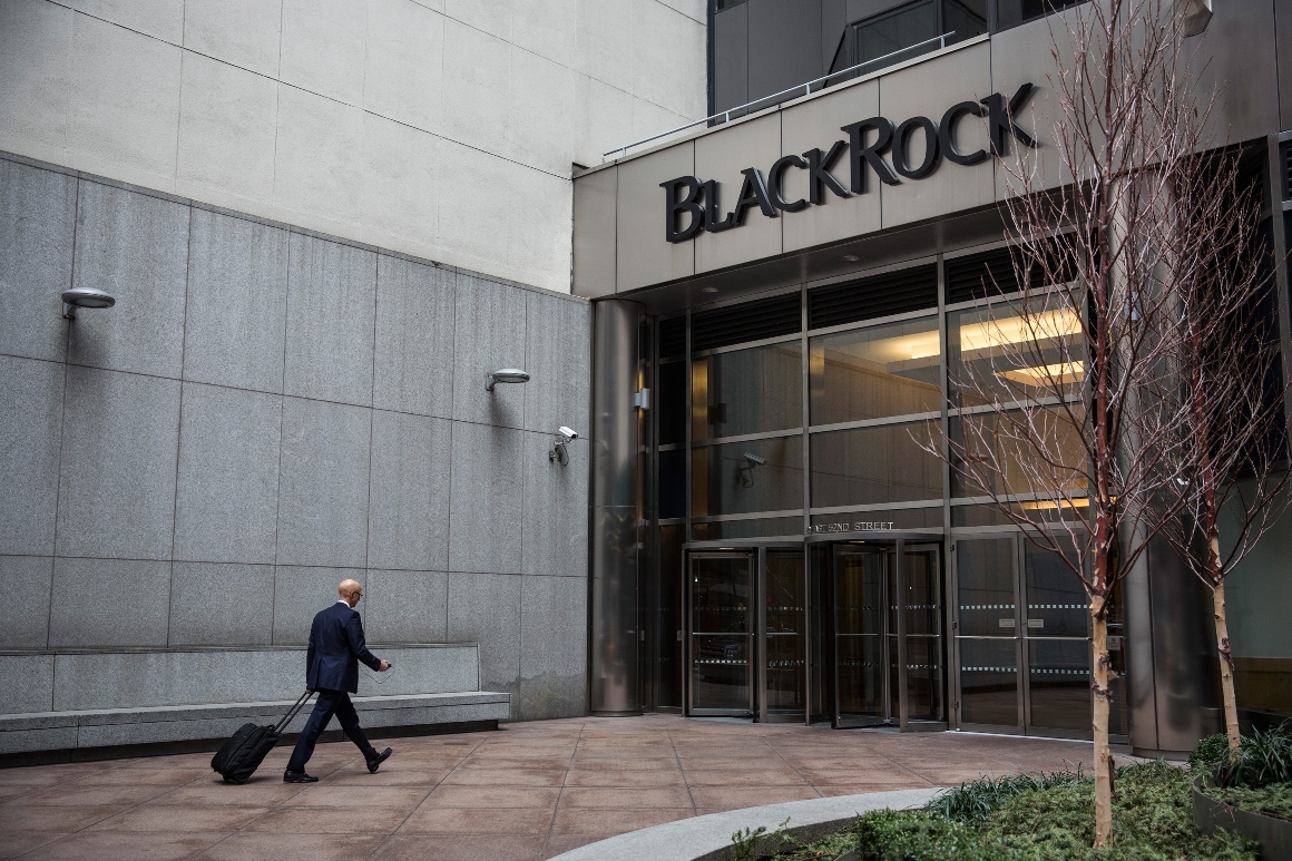 BlackRock Shifts AI Investments to Energy and Infrastructure: Survey Insights.