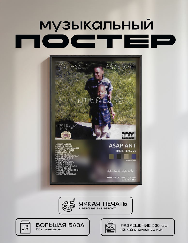 Music poster: AAP ANT - The Interlude