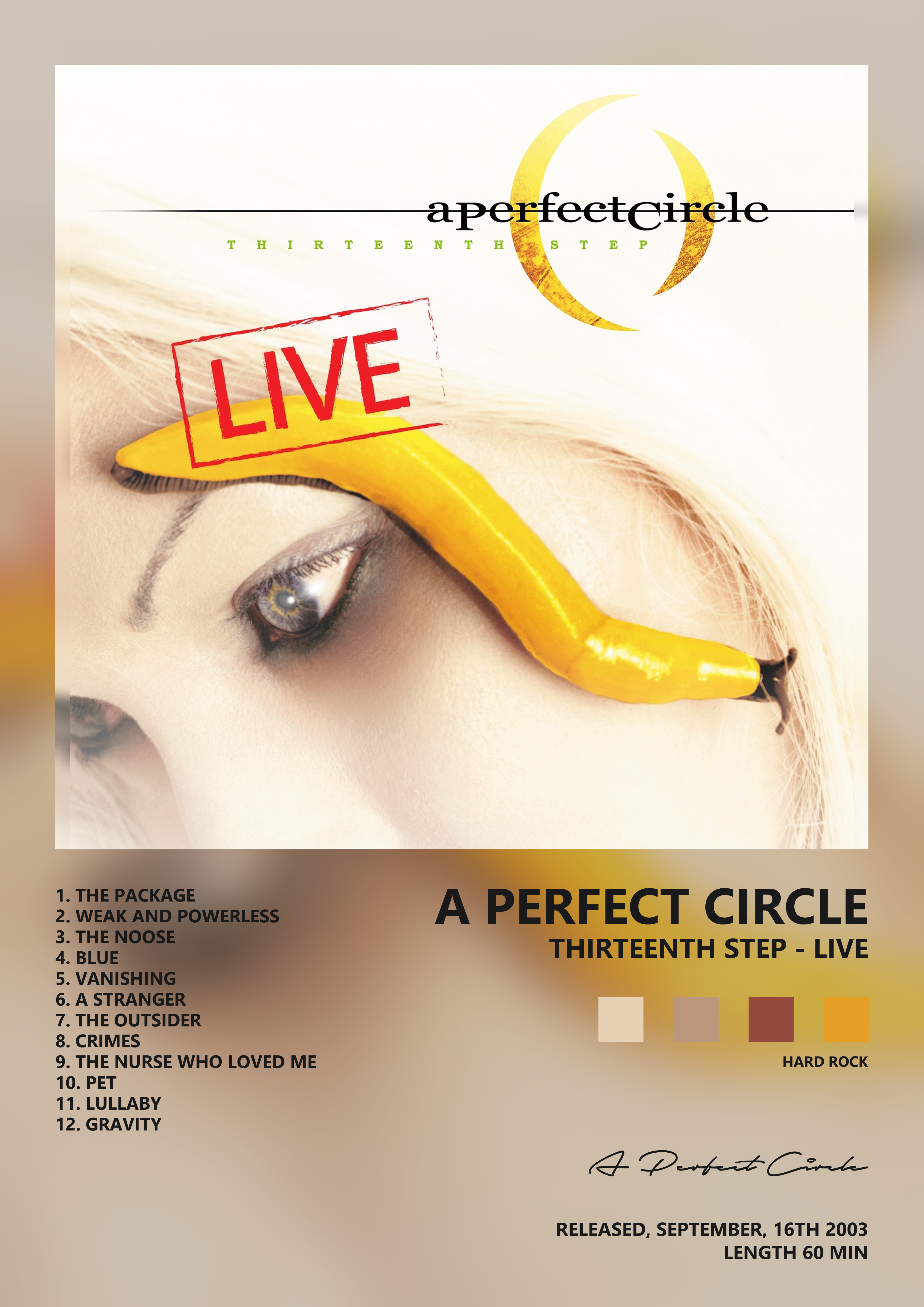 Music poster: A Perfect Circle - Thirteenth Step - Live