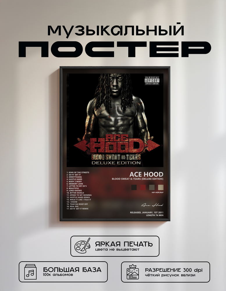Music poster: Ace Hood - Blood Sweat Tears Deluxe Edition