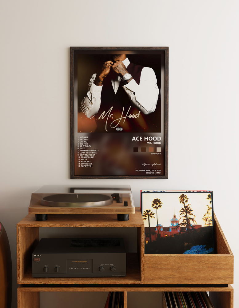 Music poster: Ace Hood - Mr Hood