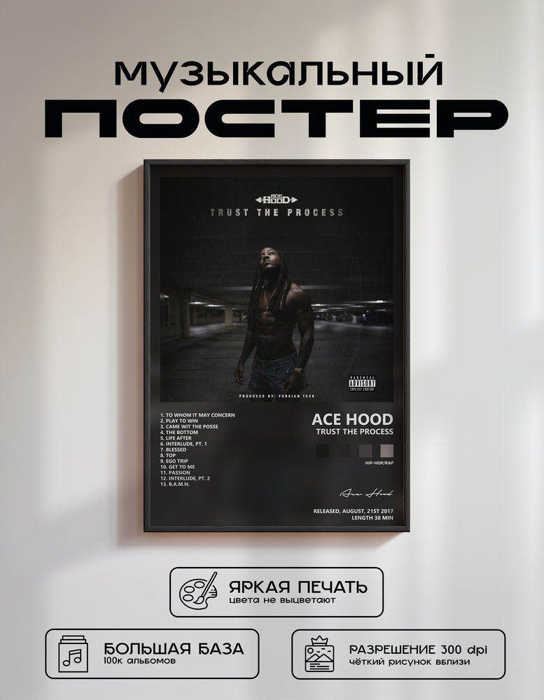 Music poster: Ace Hood - Trust the Process