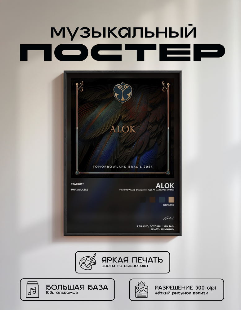 Music poster: Alok - Tomorrowland Brasil 2024 Alok at Mainstage DJ Mix