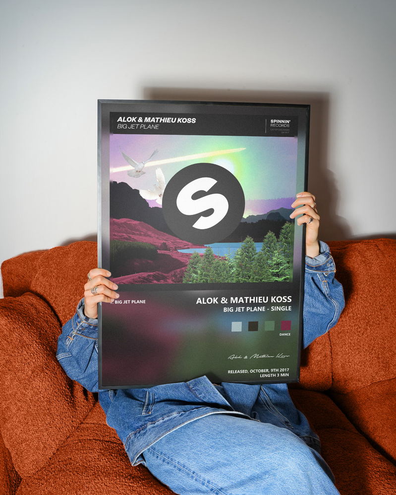 Music poster: Alok Mathieu Koss - Big Jet Plane - Single