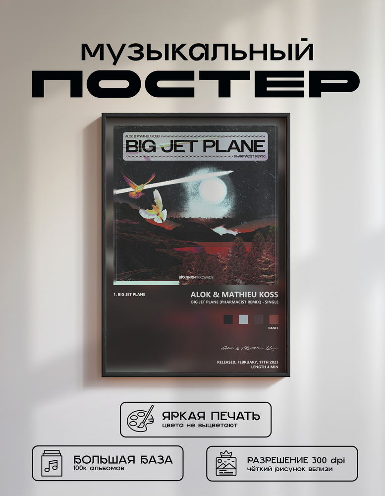 Music poster: Alok Mathieu Koss - Big Jet Plane Pharmacist Remix - Single