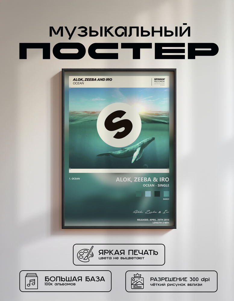 Music poster: Alok Zeeba Iro - Ocean - Single
