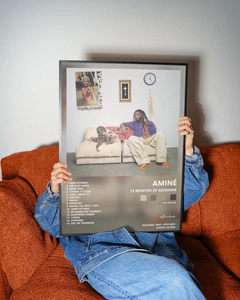 Music poster: Aminé - 13 Months of Sunshine