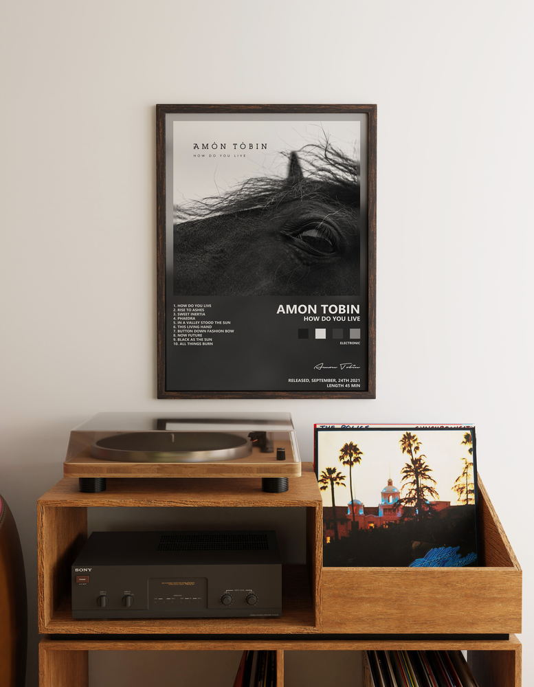 Music poster: Amon Tobin - How Do You Live