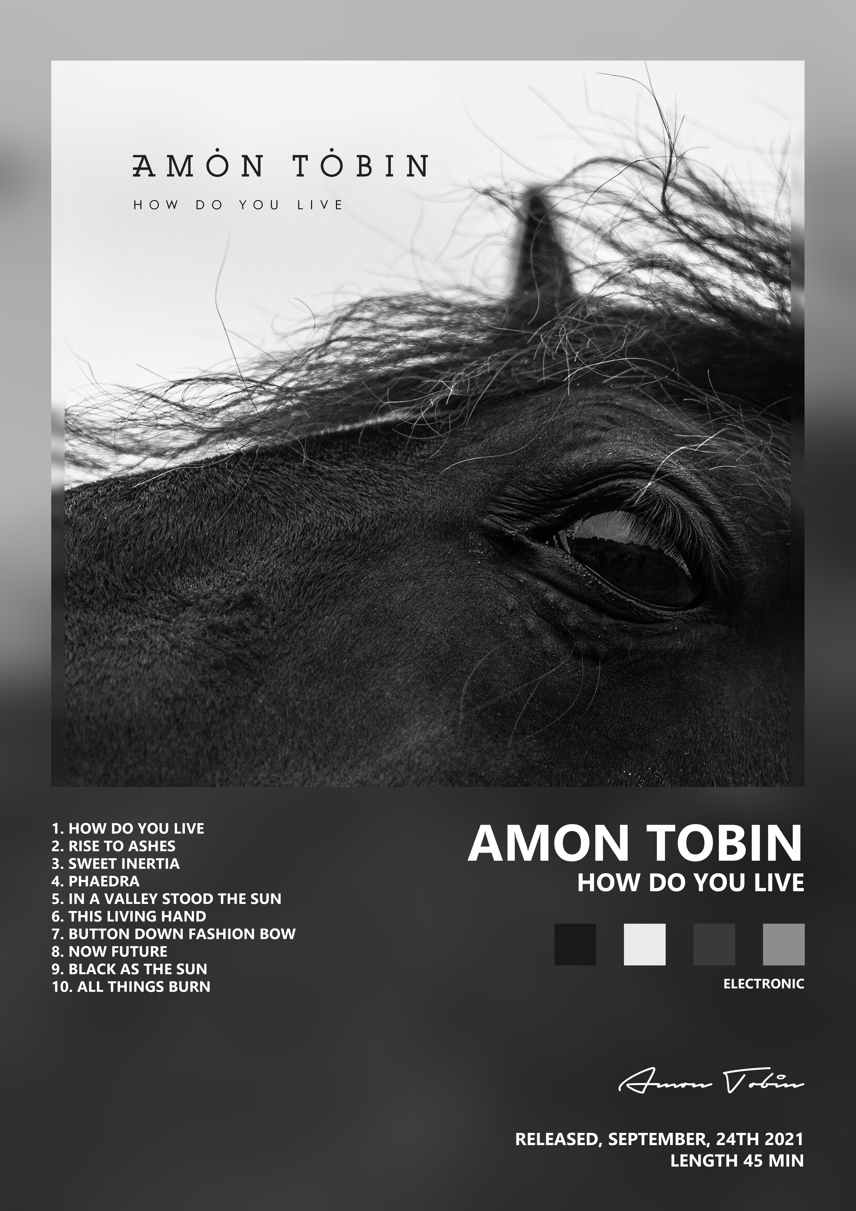 Music poster: Amon Tobin - How Do You Live