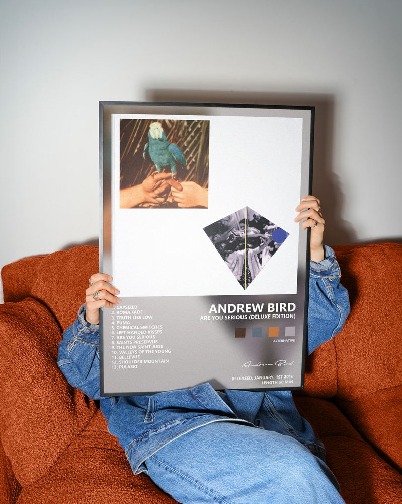Music poster: Andrew Bird - Are You Serious Deluxe Edition