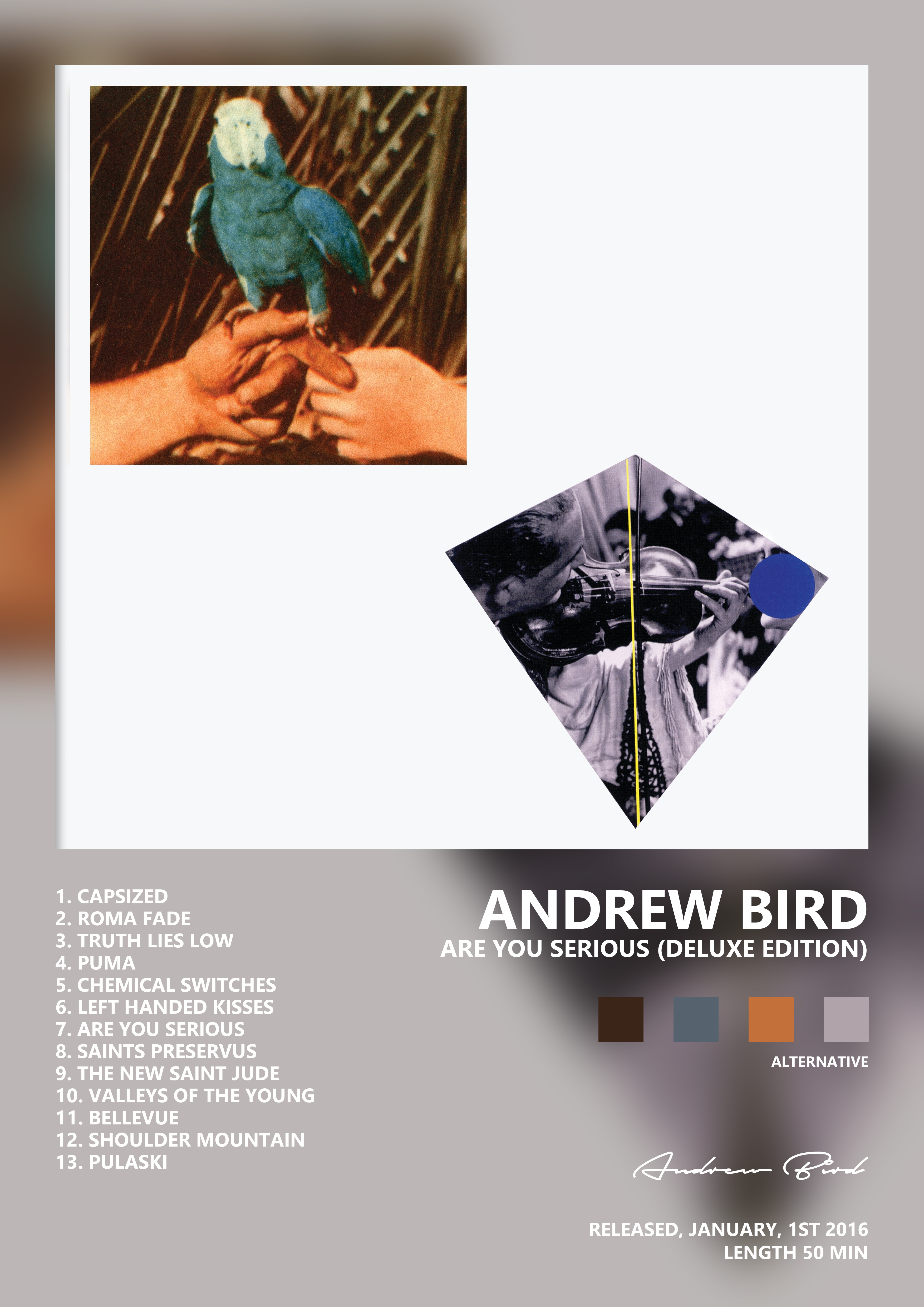 Music poster: Andrew Bird - Are You Serious Deluxe Edition