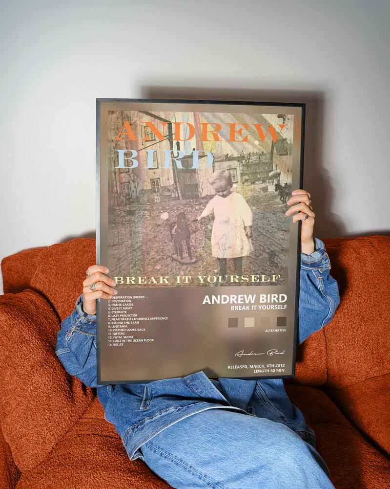Music poster: Andrew Bird - Break It Yourself