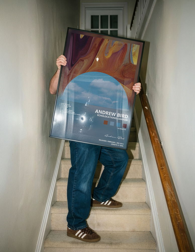 Music poster: Andrew Bird - Echolocations Canyon