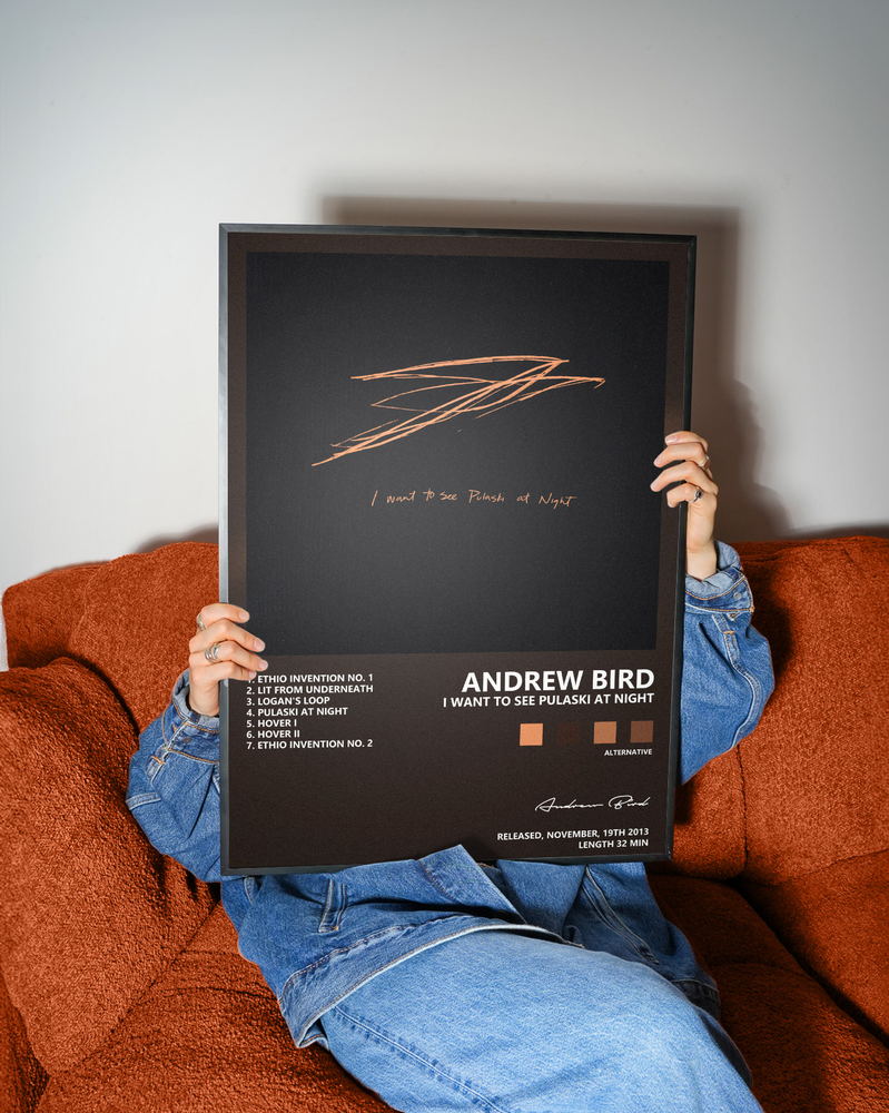 Music poster: Andrew Bird - I Want to See Pulaski at Night