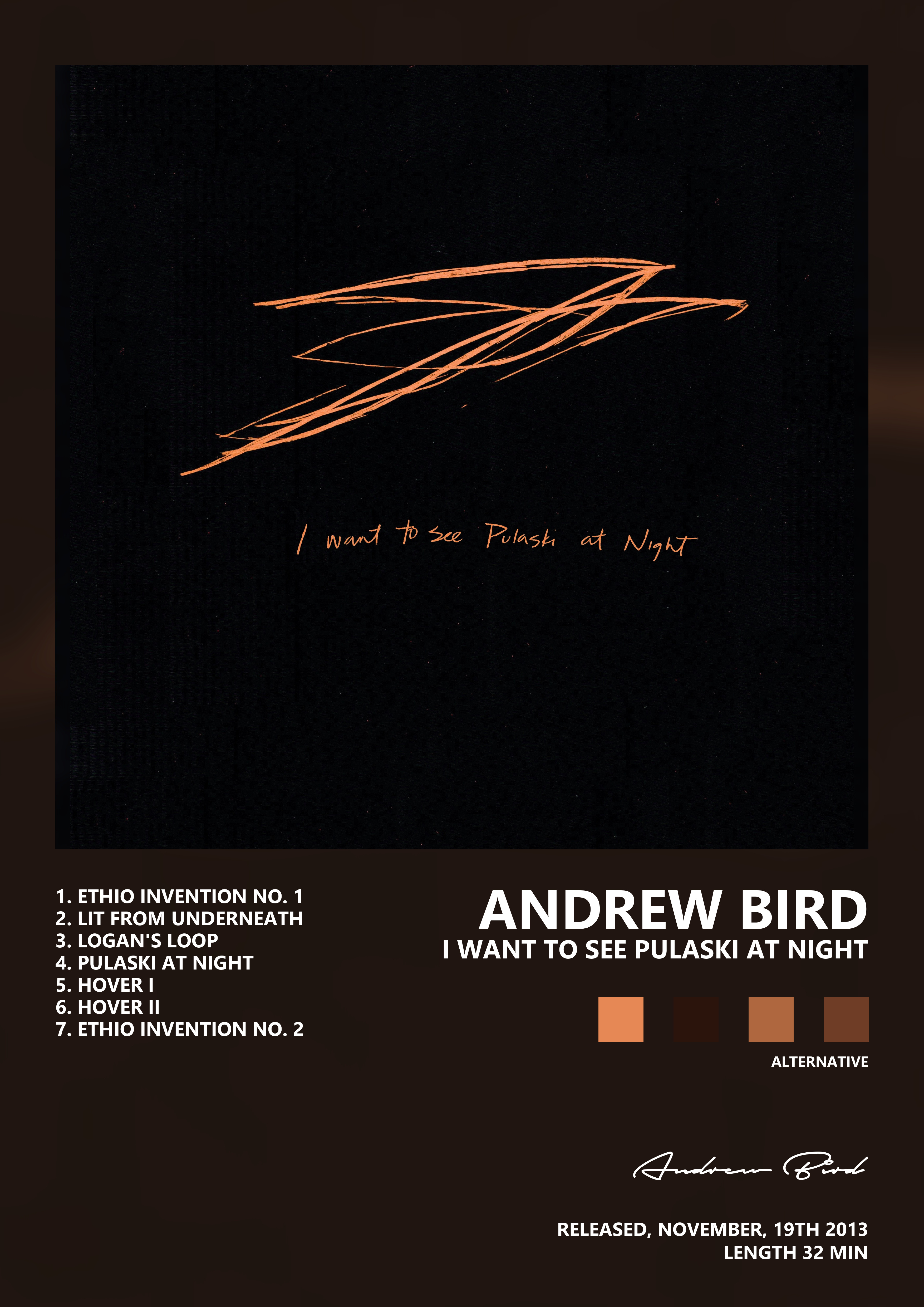 Music poster: Andrew Bird - I Want to See Pulaski at Night