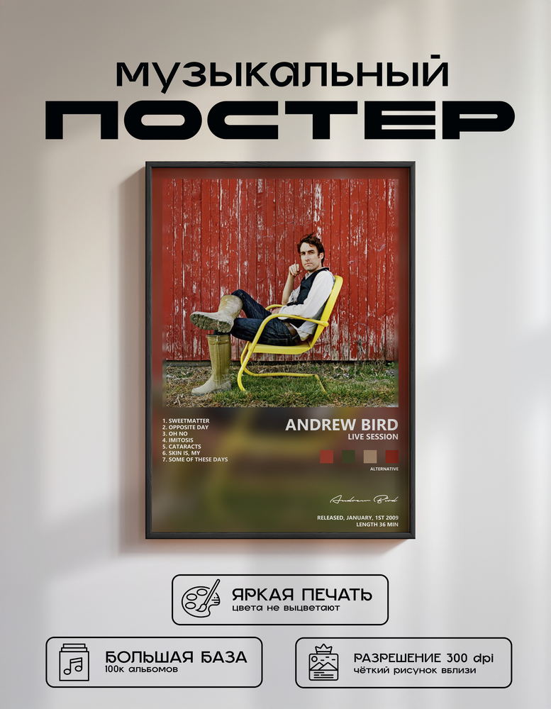 Music poster: Andrew Bird - Live Session