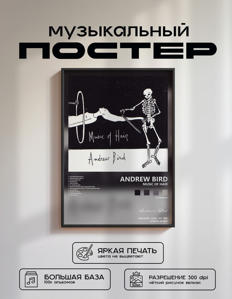 Music poster: Andrew Bird - Music of Hair
