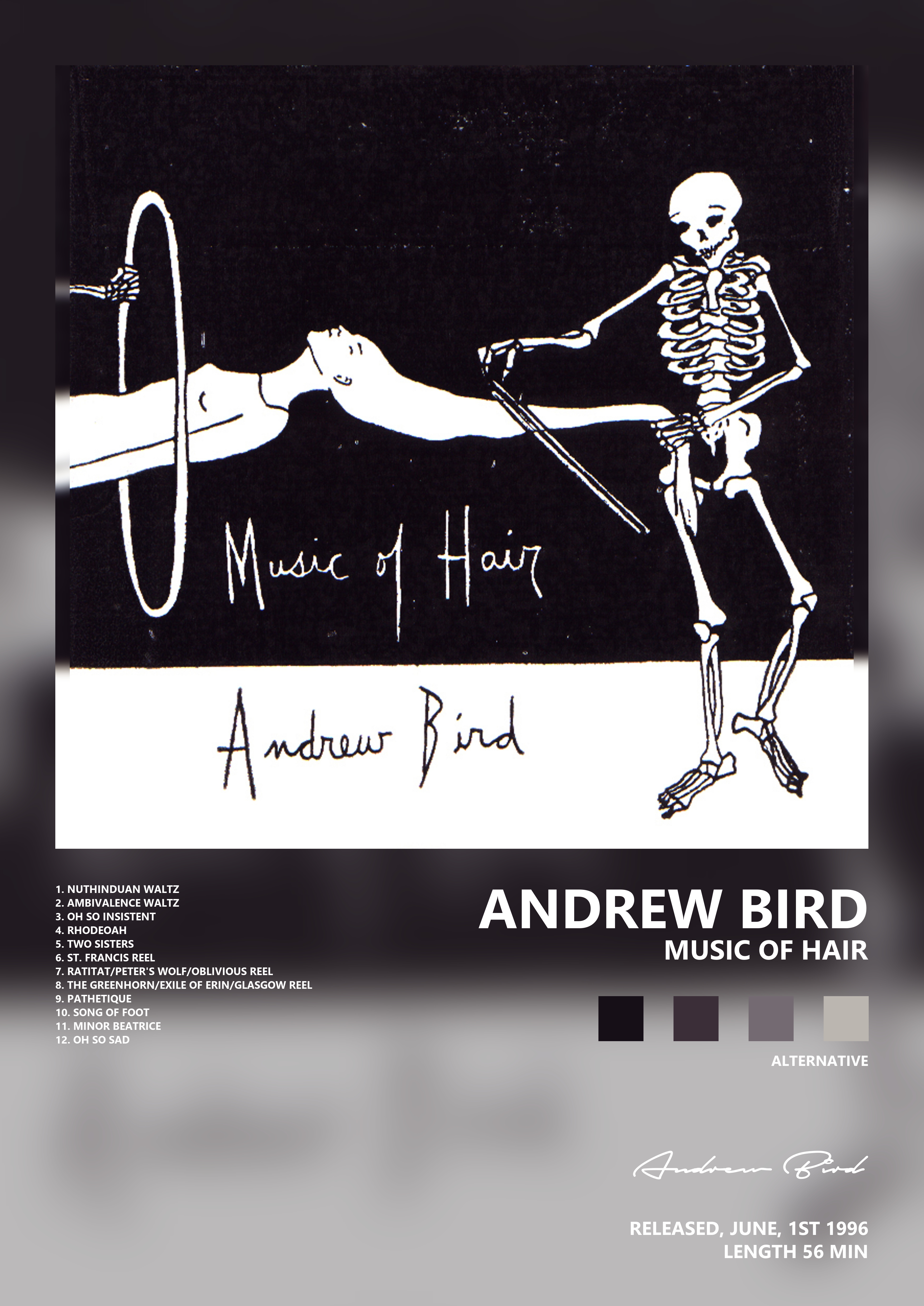 Music poster: Andrew Bird - Music of Hair