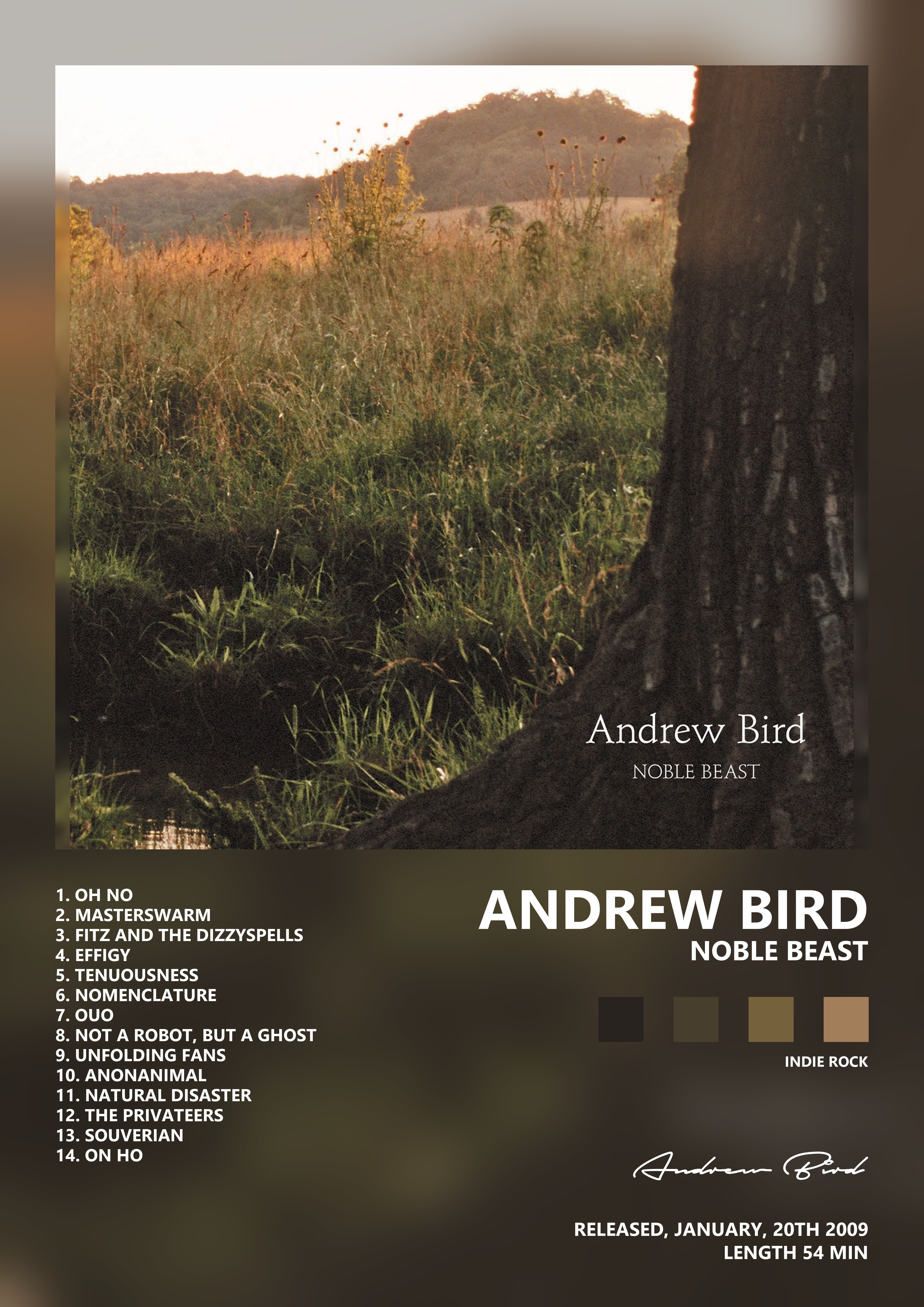 Music poster: Andrew Bird - Noble Beast