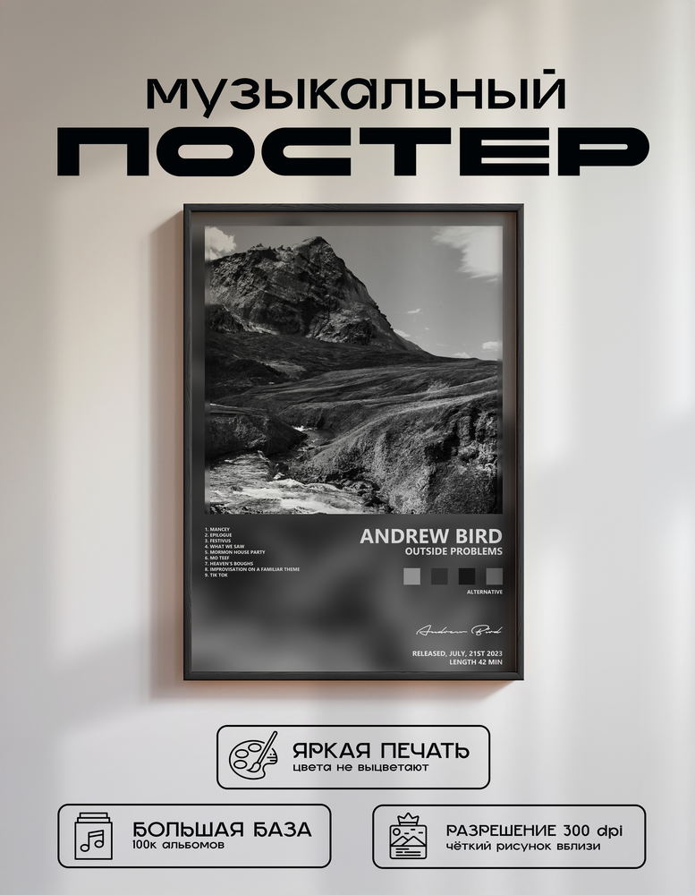 Music poster: Andrew Bird - Outside Problems