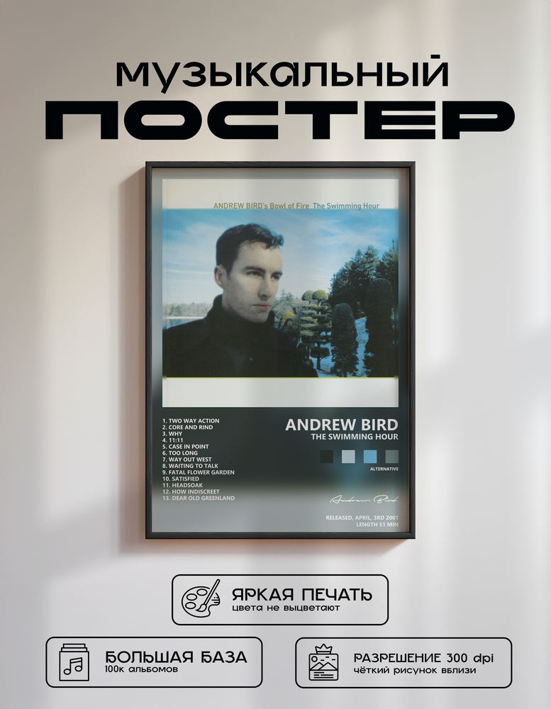 Music poster: Andrew Bird - The Swimming Hour