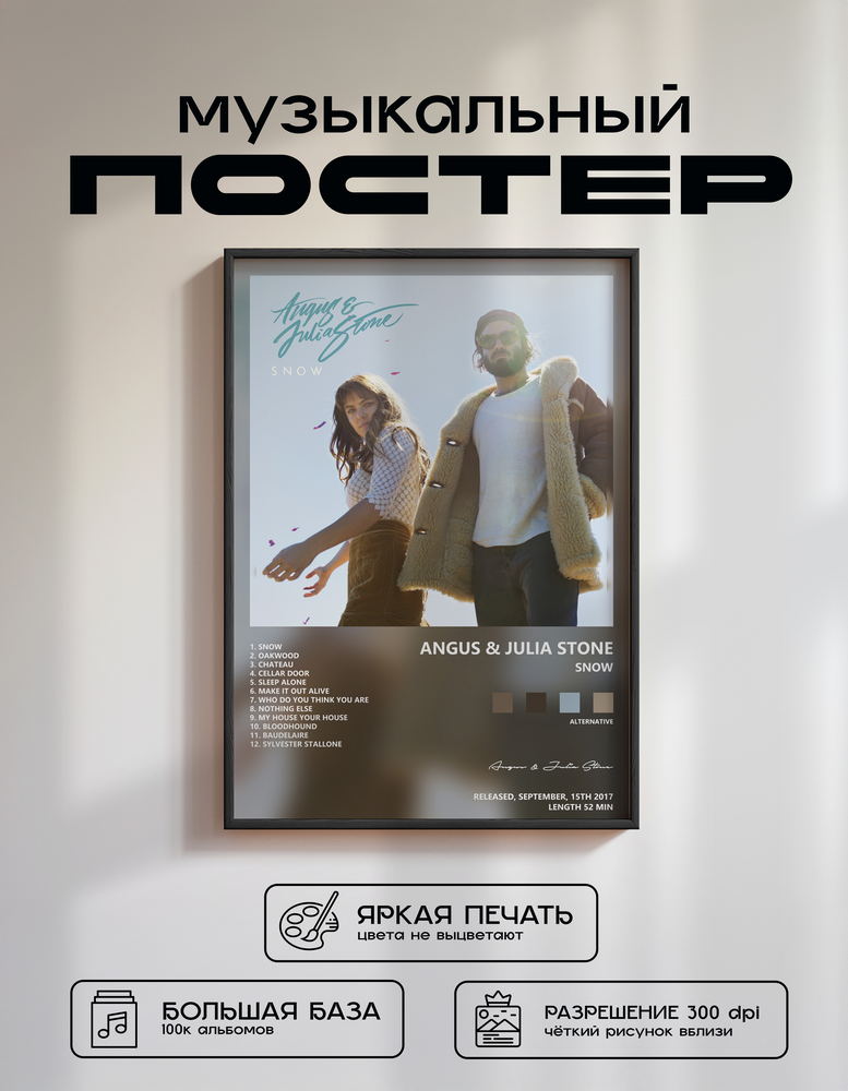 Music poster: Angus Julia Stone - Snow