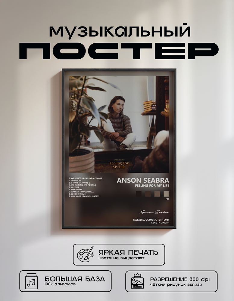 Music poster: Anson Seabra - Feeling For My Life