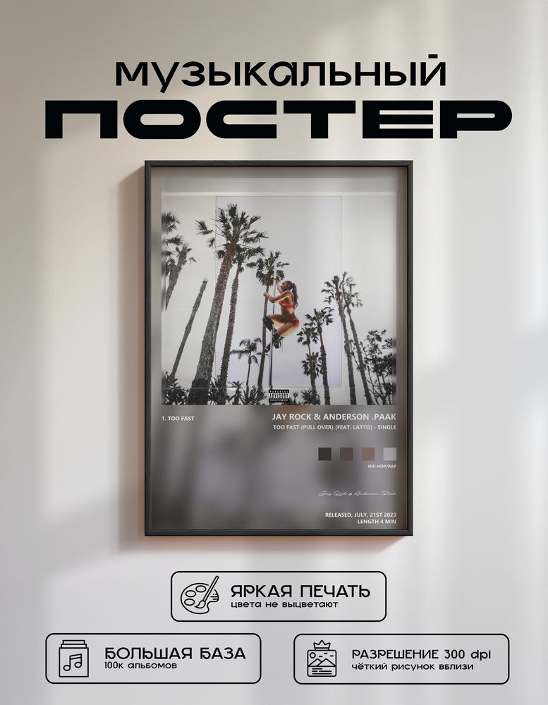 Music poster: Jay Rock Anderson Paak - Too Fast Pull Over feat Latto - Single