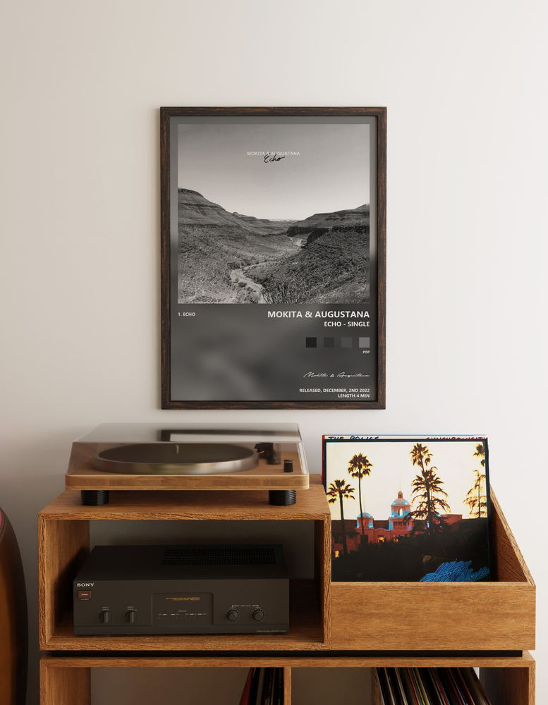 Music poster: Mokita Augustana - Echo - Single