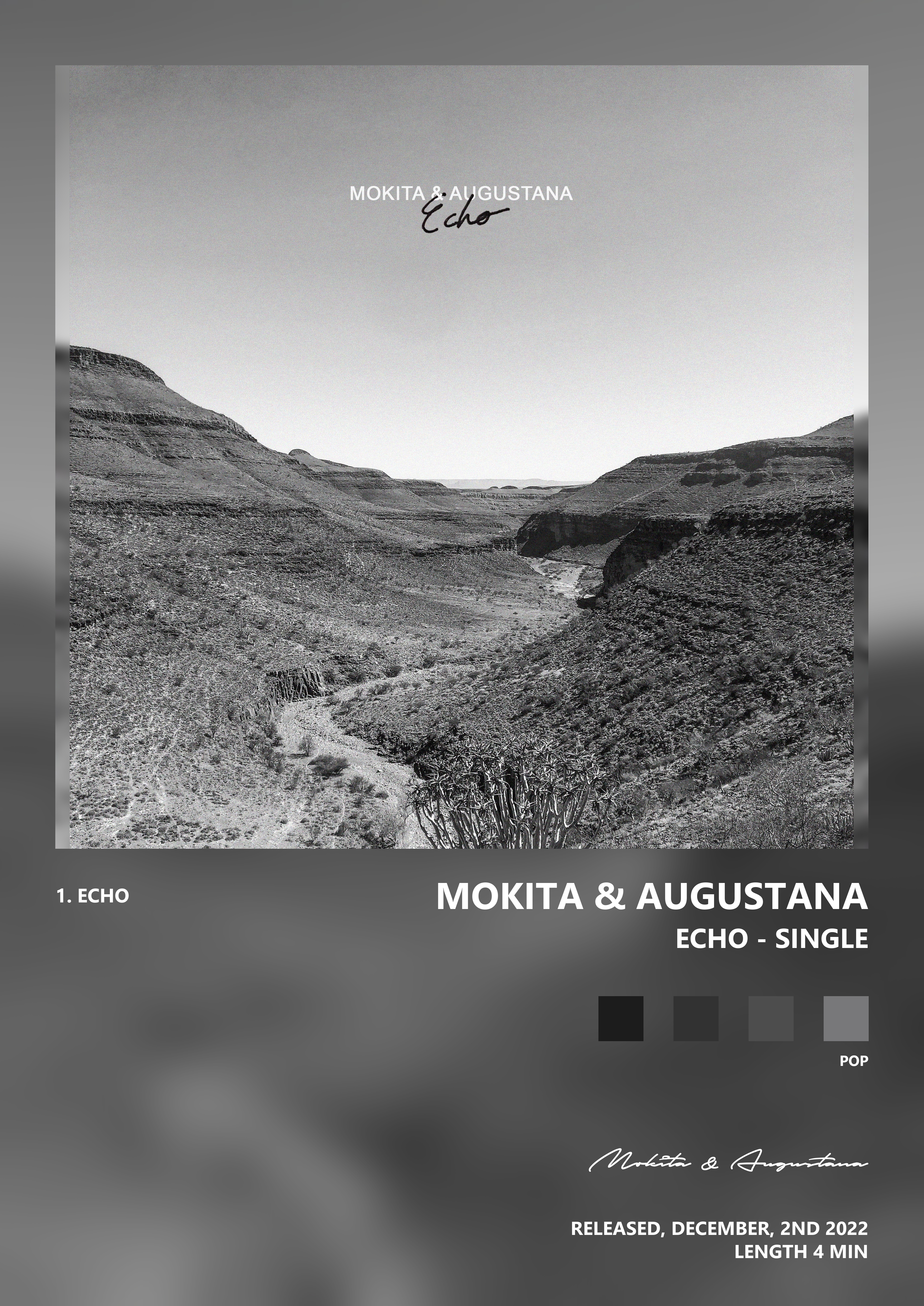 Music poster: Mokita Augustana - Echo - Single