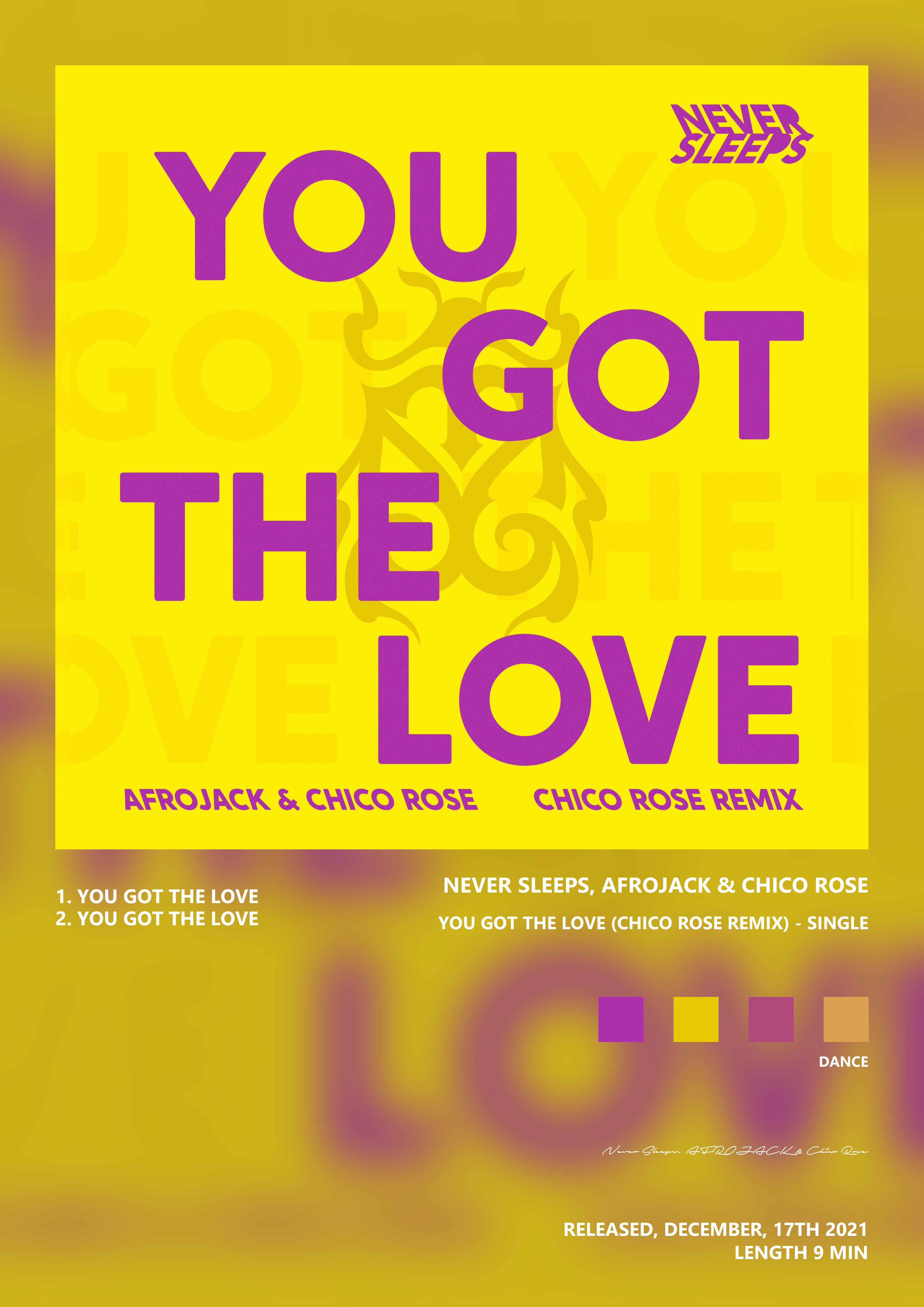 Music poster: Never Sleeps AFROJACK Chico Rose - You Got The Love Chico Rose Remix - Single