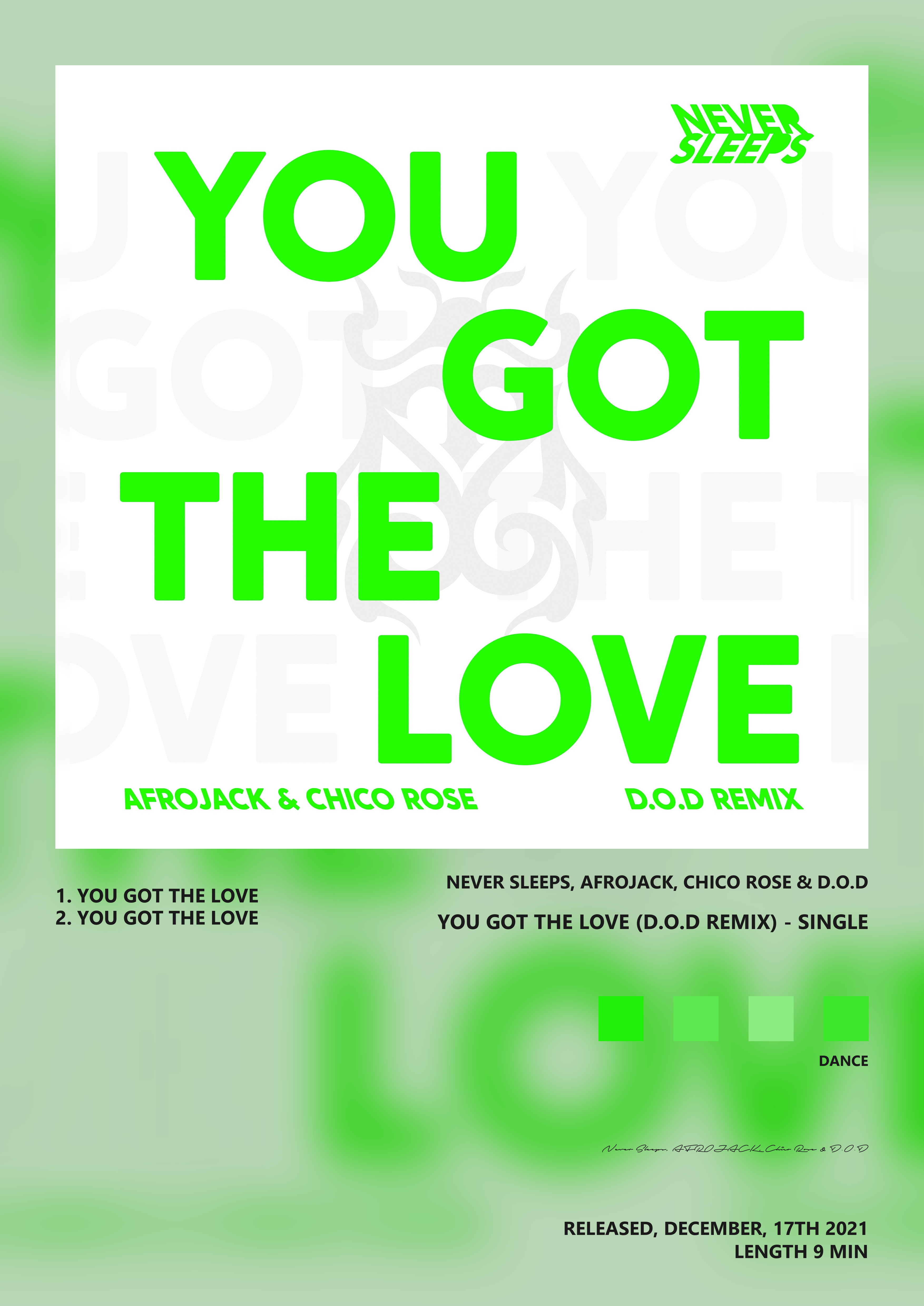 Music poster: Never Sleeps AFROJACK Chico Rose DOD - You Got The Love DOD Remix - Single