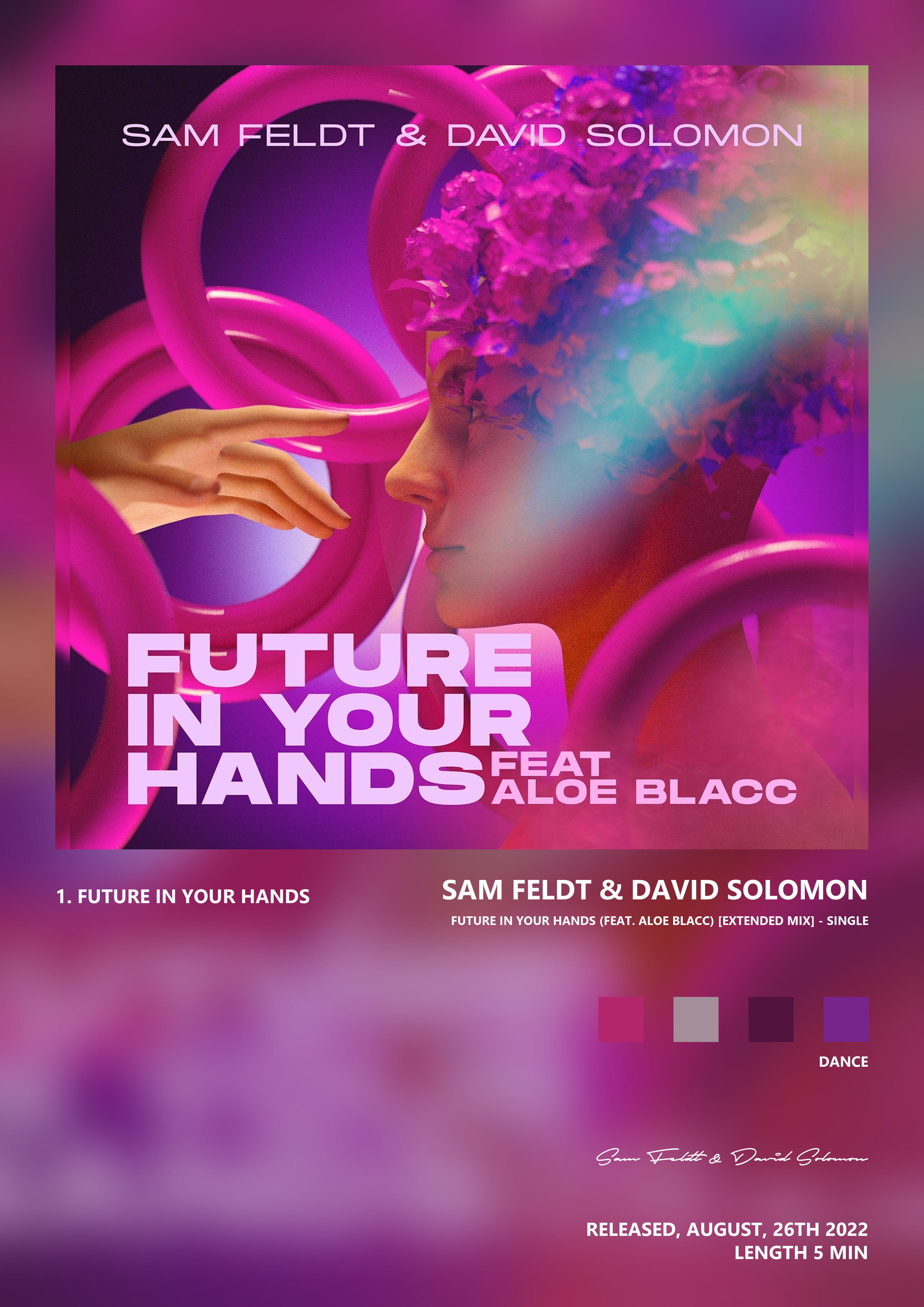 Music poster: Sam Feldt David Solomon - Future In Your Hands feat Aloe Blacc Extended Mix - Single