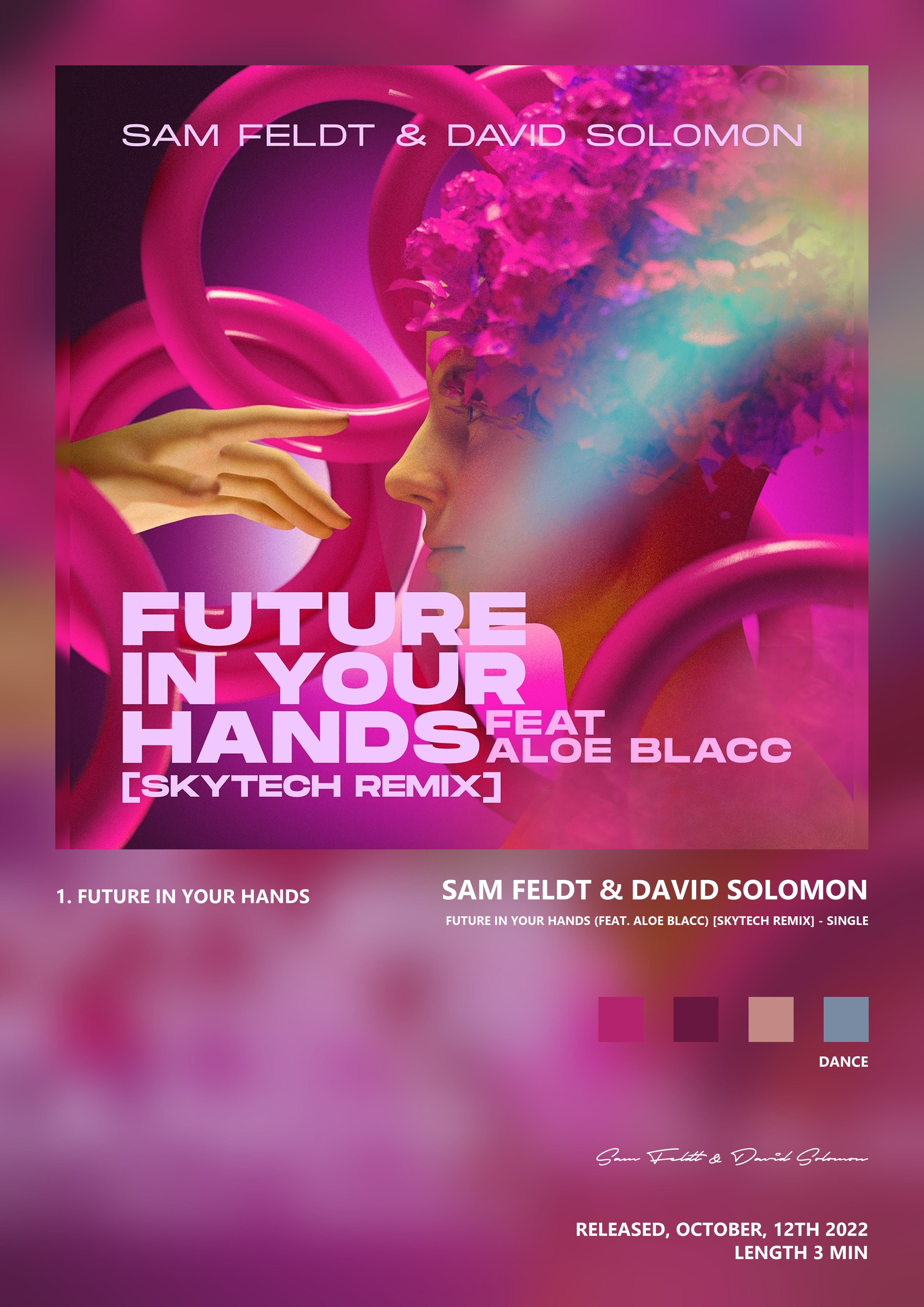 Music poster: Sam Feldt David Solomon - Future In Your Hands feat Aloe Blacc Skytech Remix - Single