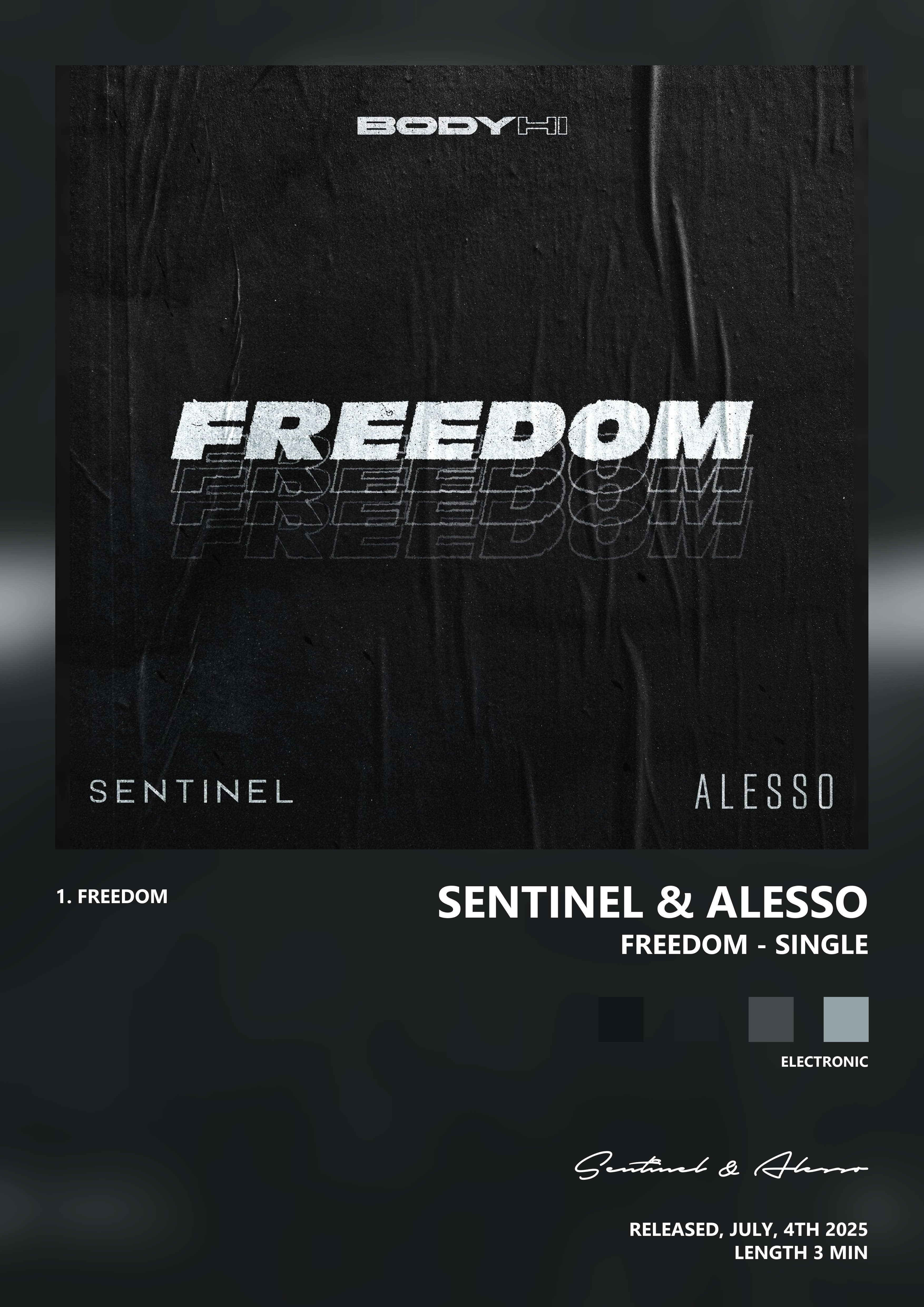 Music poster: Sentinel Alesso - Freedom - Single