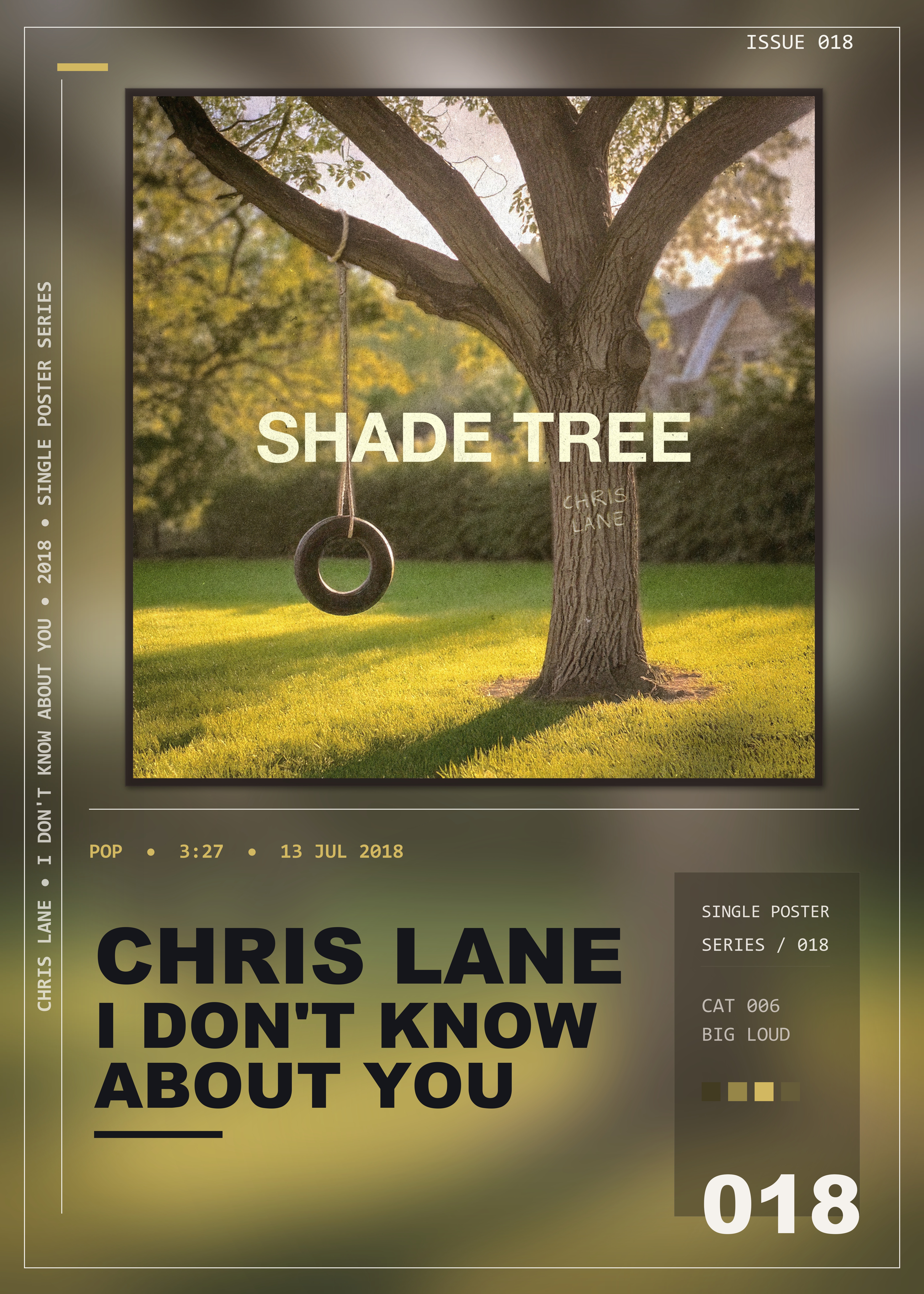 Music poster: Chris Lane - I Dont Know About You