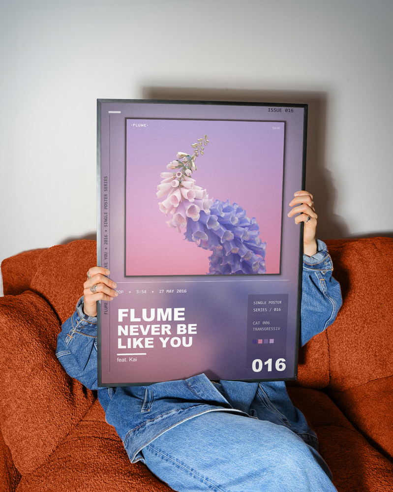 Music poster: Flume - Never Be Like You feat Kai
