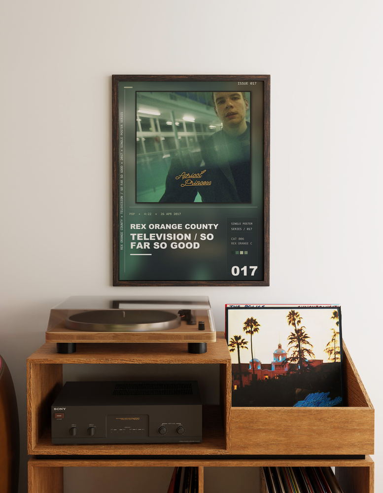 Music poster: Rex Orange County - Television So Far So Good