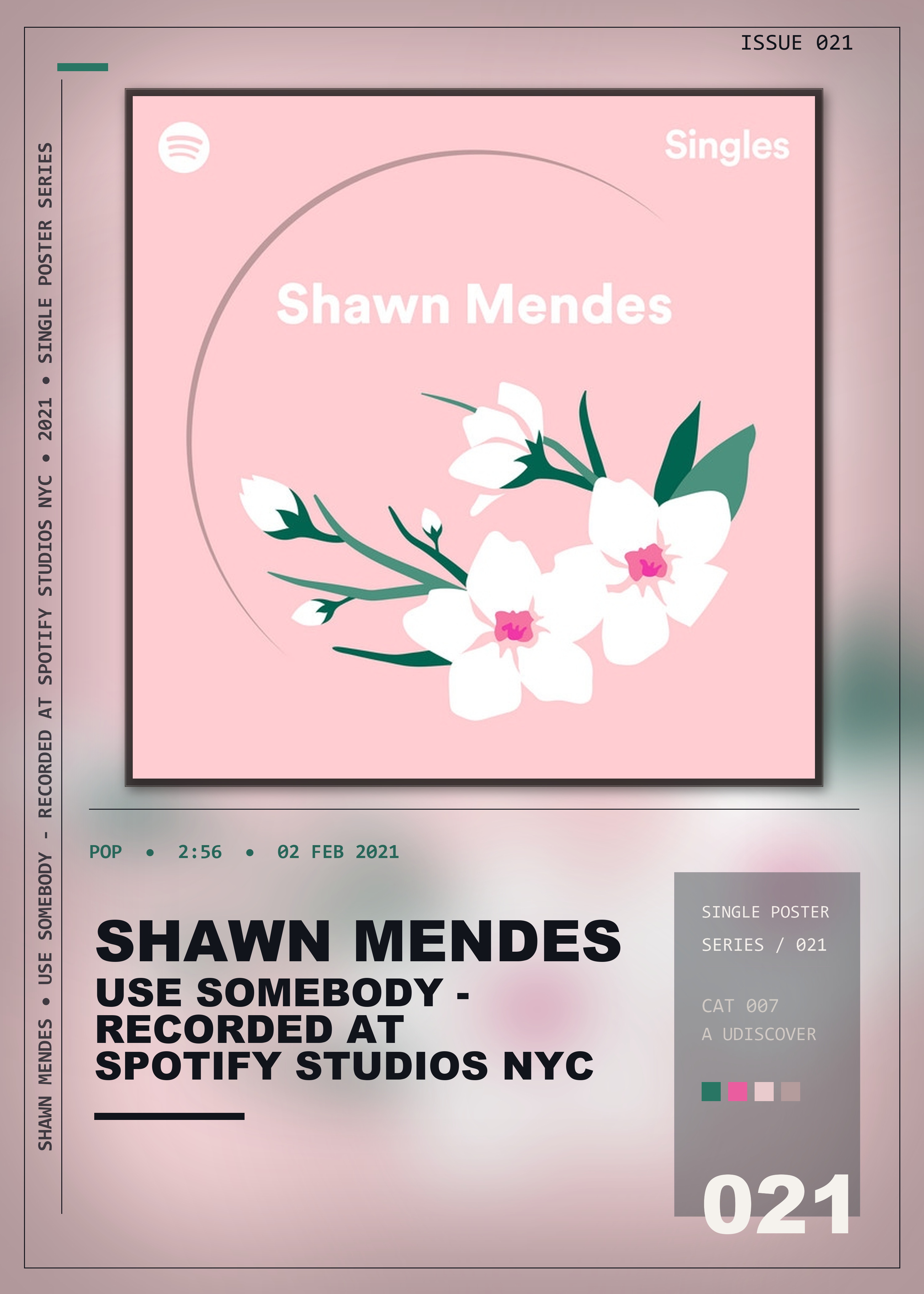 Music poster: Shawn Mendes - Use Somebody - Recorded at Spotify Studios NYC