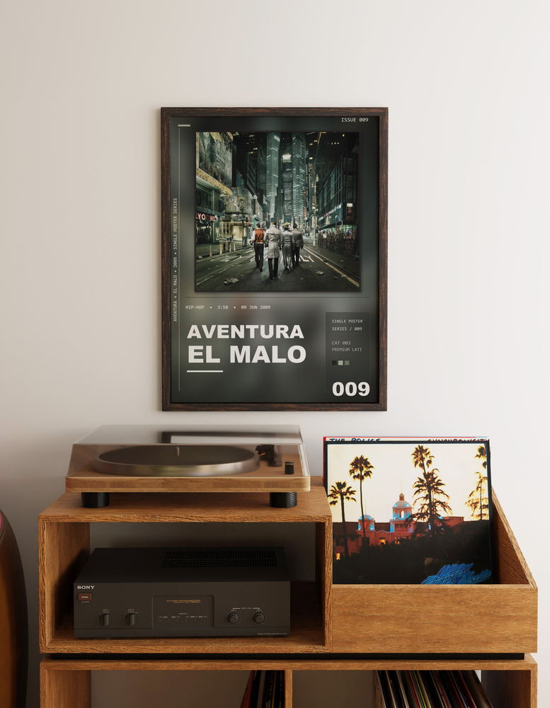Music poster: Aventura - El Malo