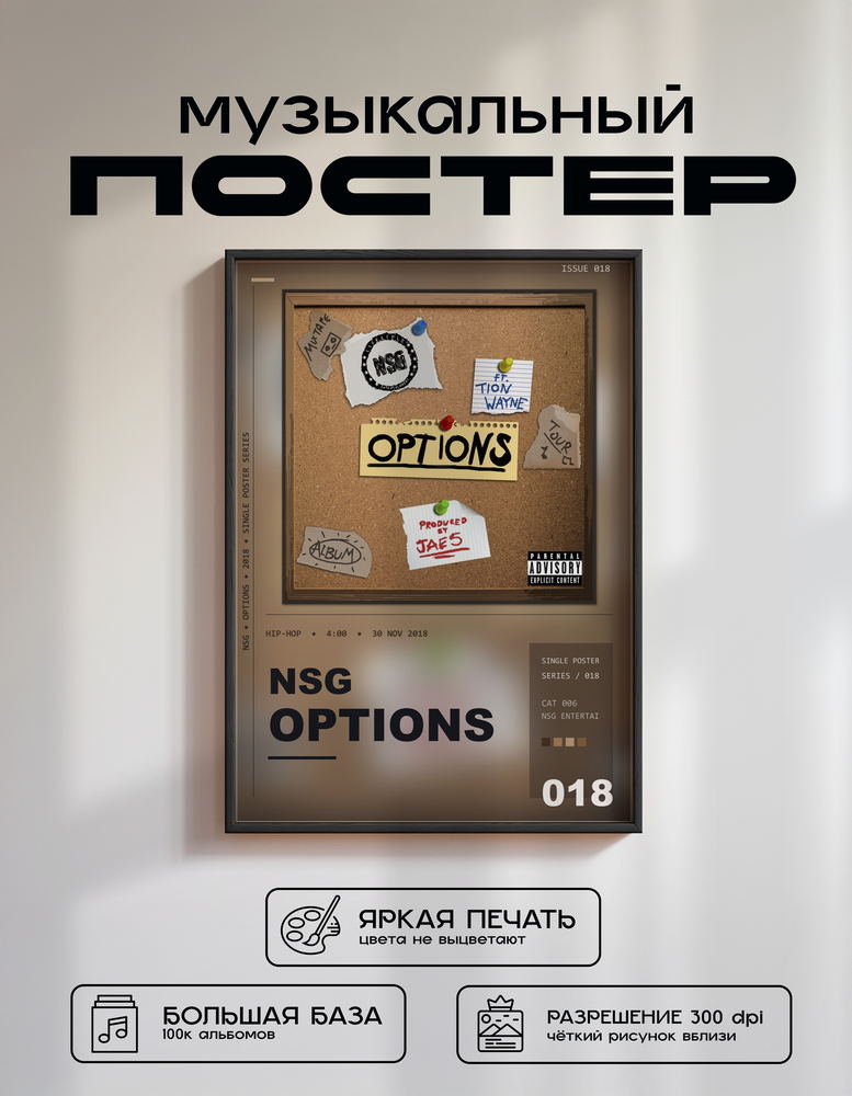 Music poster: NSG - Options