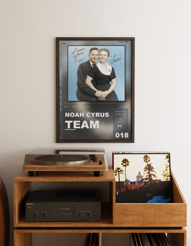 Music poster: Noah Cyrus - Team