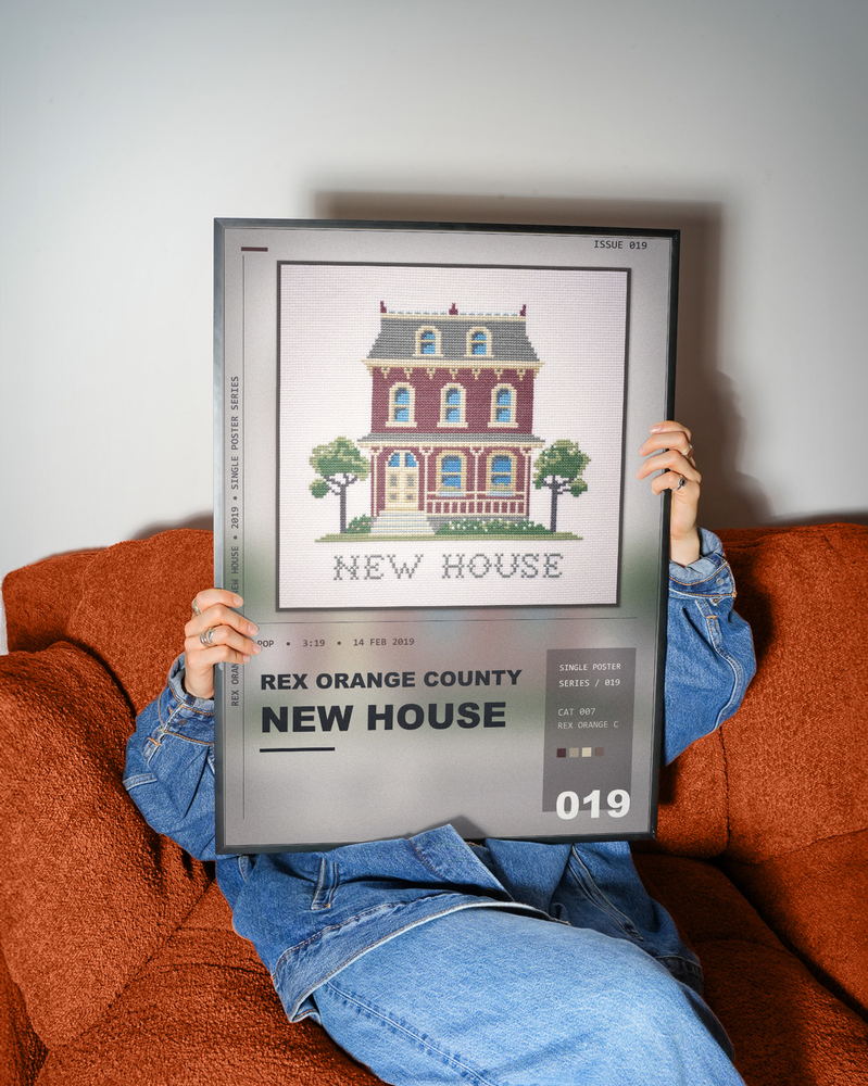 Music poster: Rex Orange County - New House