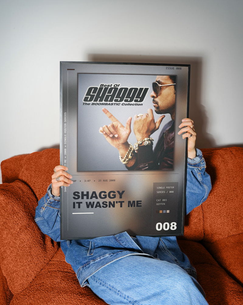 Music poster: Shaggy - It Wasnt Me