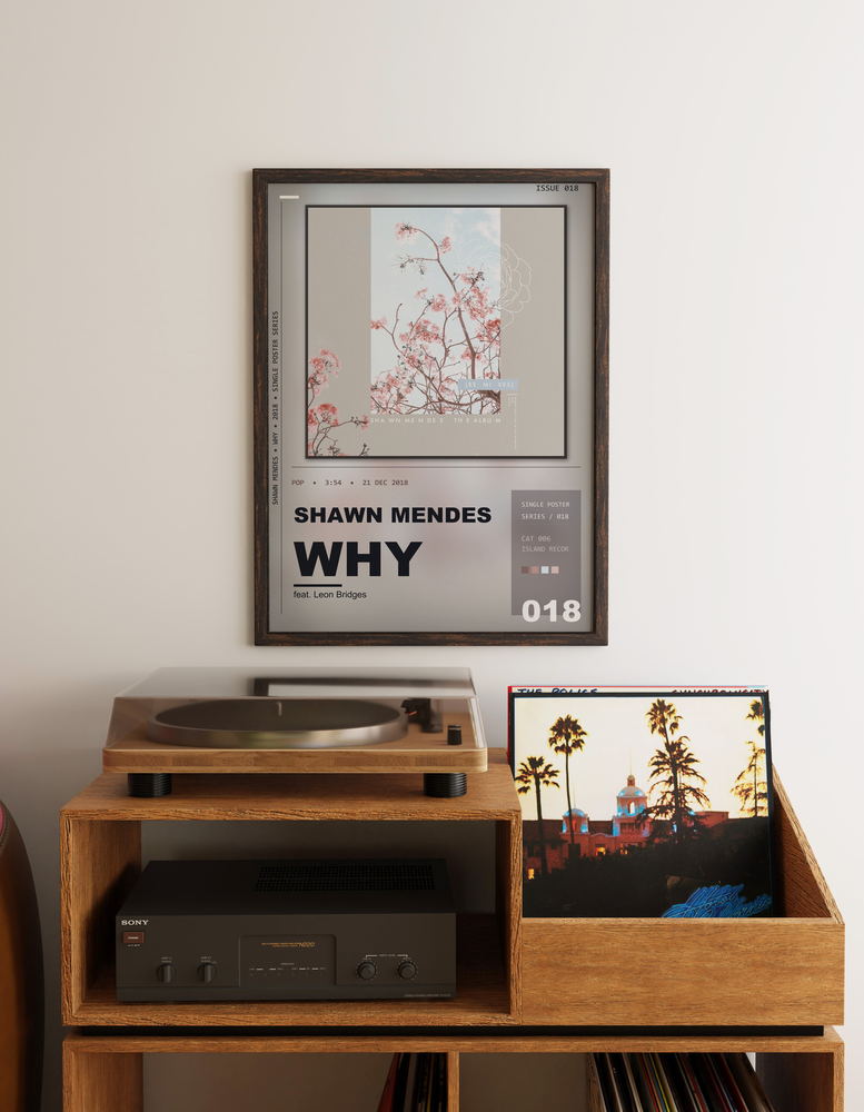 Music poster: Shawn Mendes - Why Remix feat Leon Bridges - Remix
