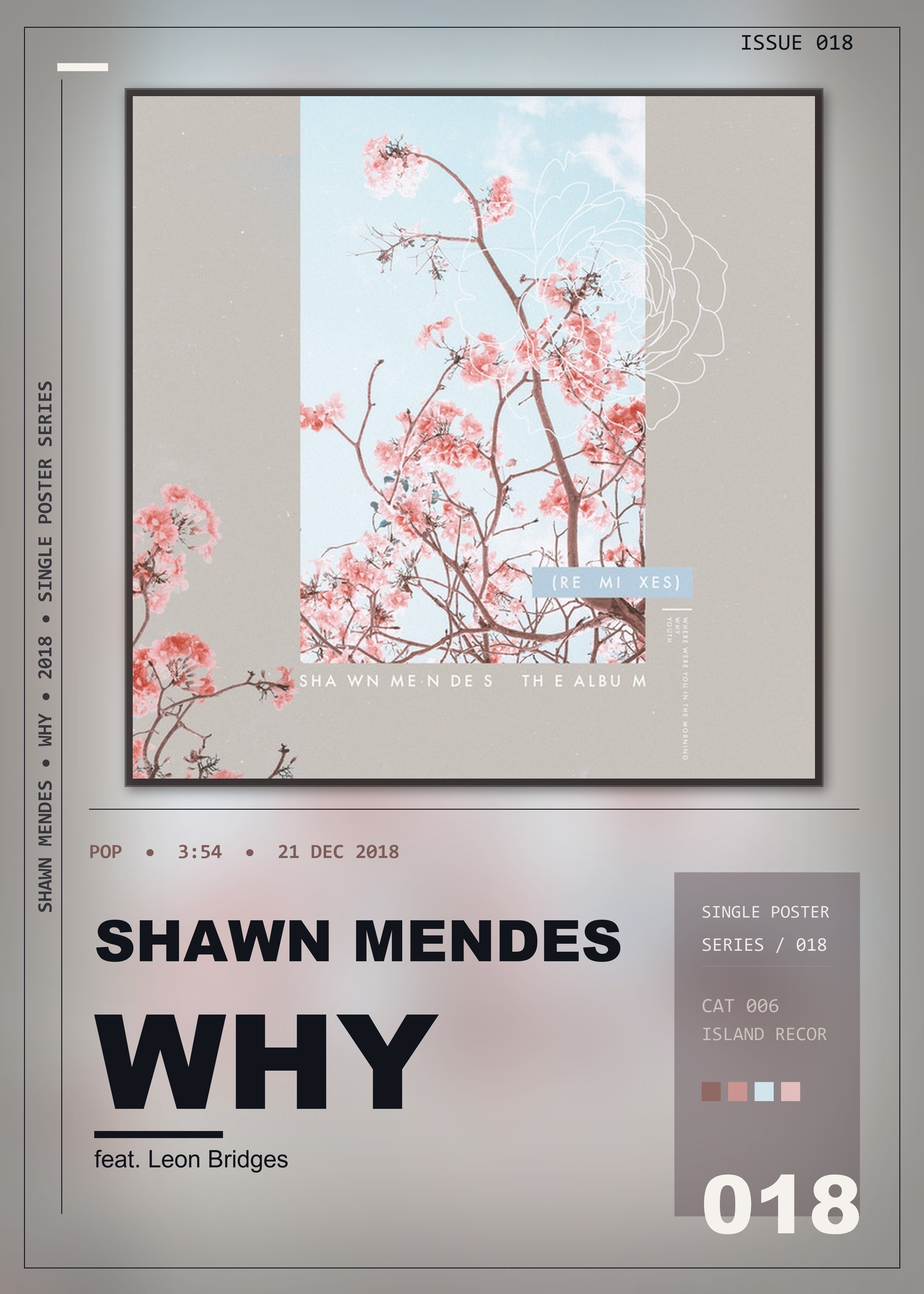 Music poster: Shawn Mendes - Why Remix feat Leon Bridges - Remix