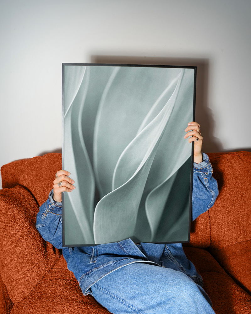Music poster: 03 Photographic print of light green agave plant leaves with softly curved edges fr - 03 Photographic print of light green agave plant leaves with softly curved edges fr