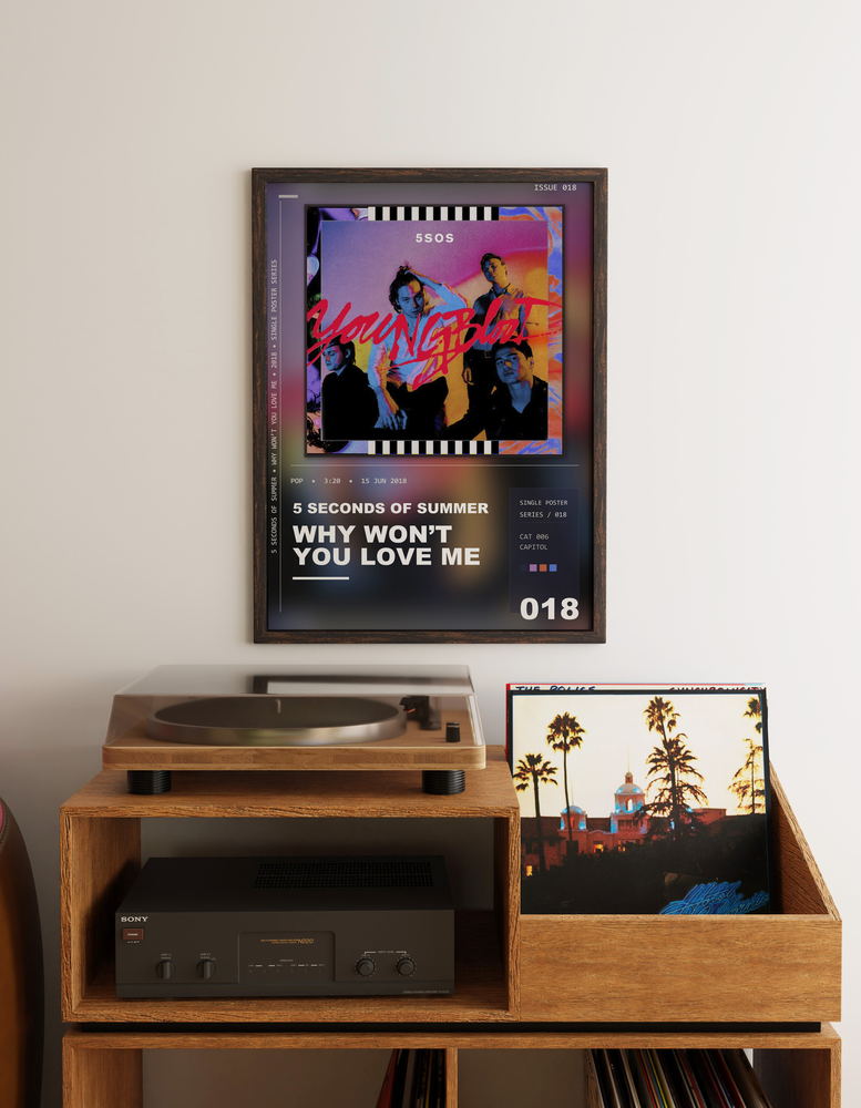 Music poster: 5 Seconds of Summer - Why Wont You Love Me